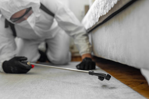 Professional Termite Control technician working in Natalia, TX