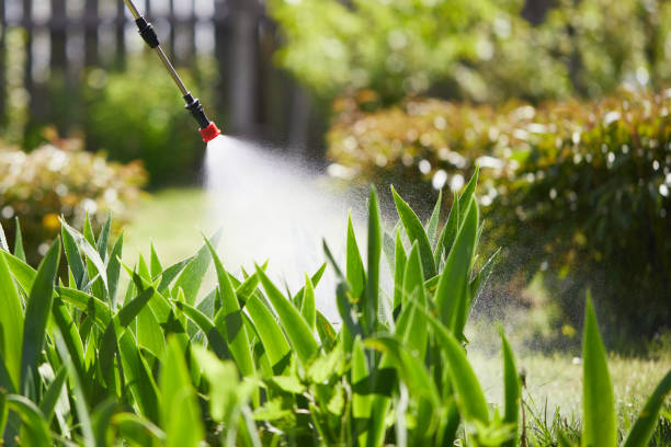 24/7 Emergency Termite Control experts in Natalia, TX